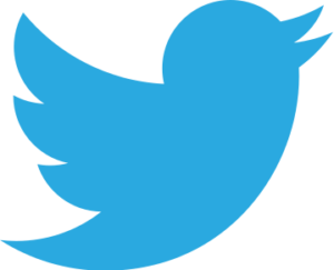 Twitter bird logo 2012.svg  300x243 - إتقان بحث تويتر