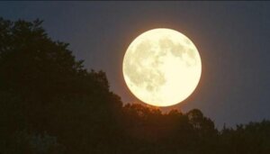 133 223410 moon super saudiarabia 700x400 300x171 - ظهور القمر العملاق في سماء السعودية