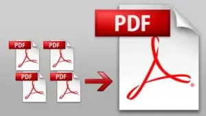 merge pdf files 300x169 - كيفية دمج ملفات بي دي اف