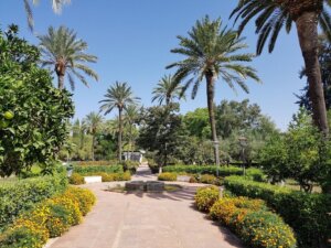 royal botanical garden of cordoba 5 300x225 - زيارة لقرطبة (المدينة الإسبانية ذات الطابع الإسلامي)